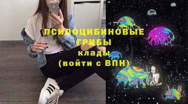 молекула духа Надым