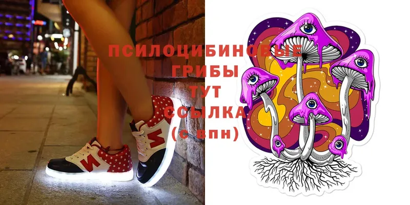 Галлюциногенные грибы MAGIC MUSHROOMS Касли