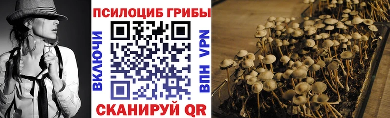Псилоцибиновые грибы Psilocybine cubensis  Касли 
