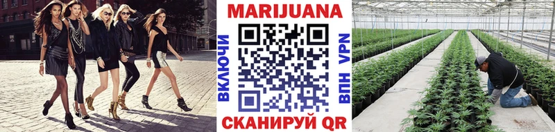 где можно купить наркотик  Касли  Бошки марихуана план 